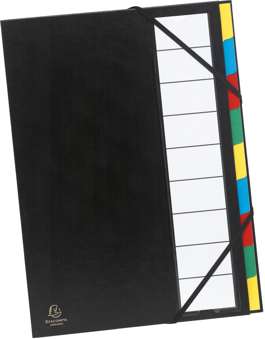 Exacompta Ordnungsmappe 55330E DIN A4 Farbig Sortiert Vinylbeschichtetes Papier 23,5 x 33,5 cm 6 Stück