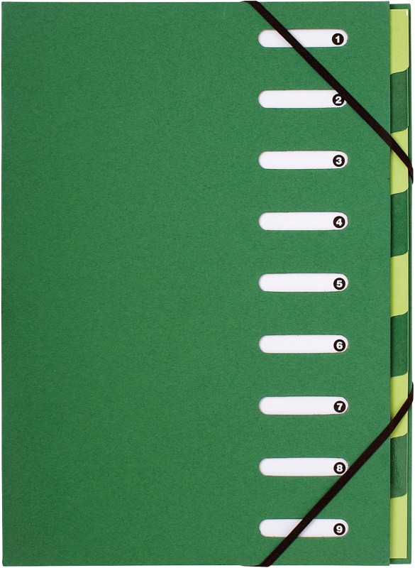 Exacompta Ordnungsmappe 52983E DIN A4 Dunkelgrün Vinylbeschichtetes Papier 24 x 32 cm 6 Stück