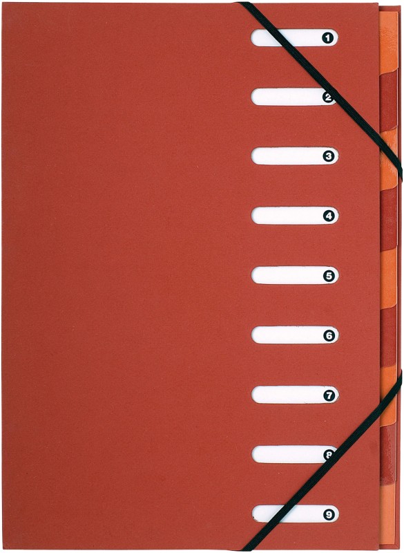 Exacompta Ordnungsmappe 52985E DIN A4 Rot Vinylbeschichtetes Papier 24 x 32 cm 6 Stück