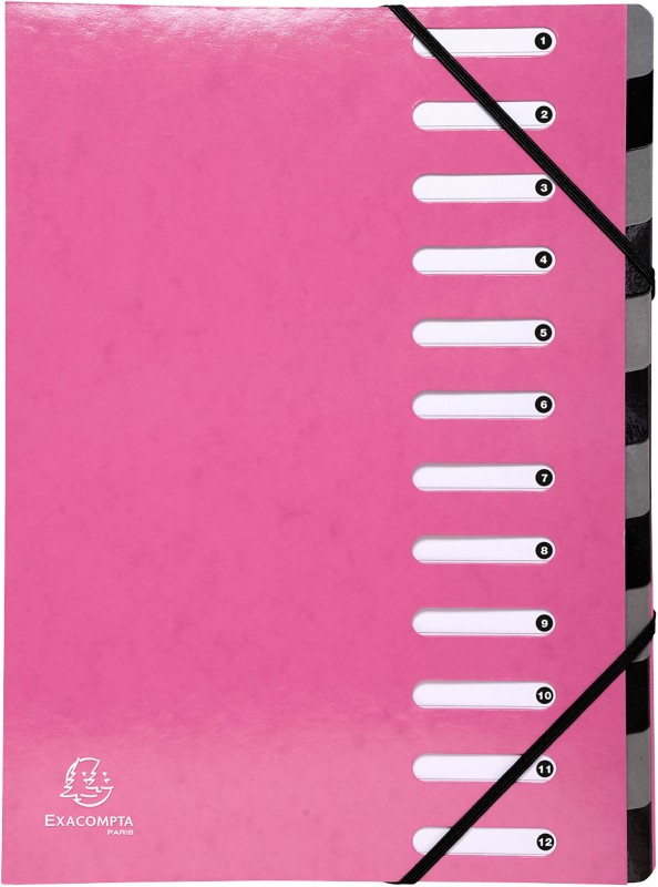 Exacompta Ordnungsmappe 53928E DIN A4 Pink Vinylbeschichtetes Papier 24,5 x 32 cm 6 Stück