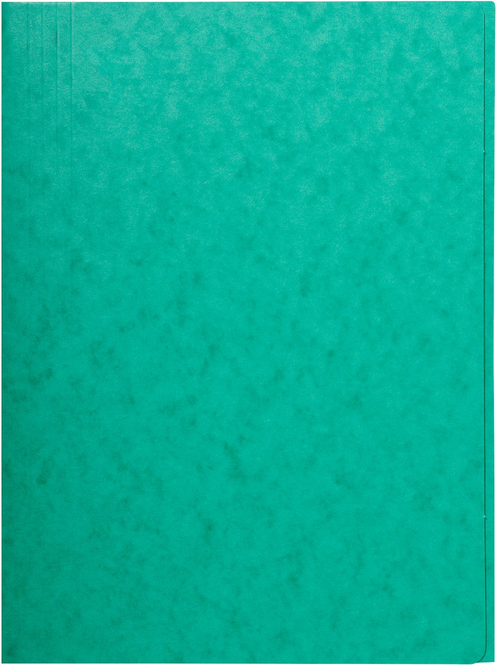 Exacompta Sammelmappe 56415E DIN A4 Grün Beschichteter Manila Karton 24 x 0,3 x 32 cm 25 Stück