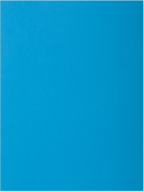 Exacompta Präsentationsmappe 216019E DIN A4 Blau Karton 24 x 32 cm 250 Stück