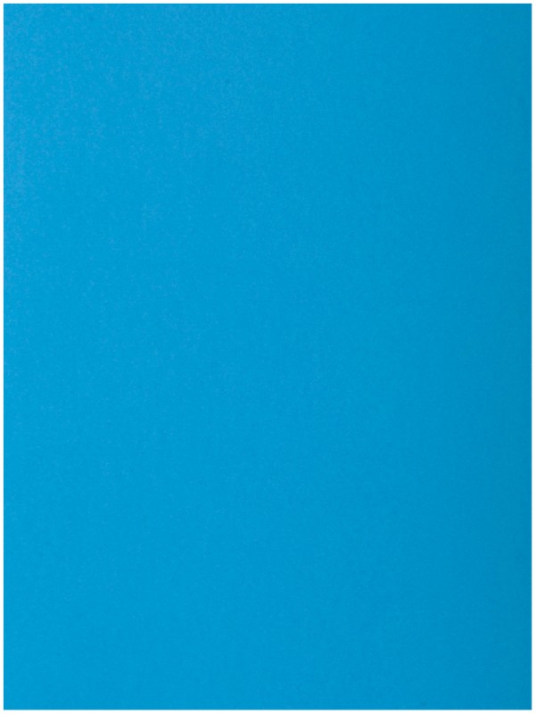 Exacompta Aktenmappe 218019E DIN A4 Blau Karton 24 x 32 cm 250 Stück