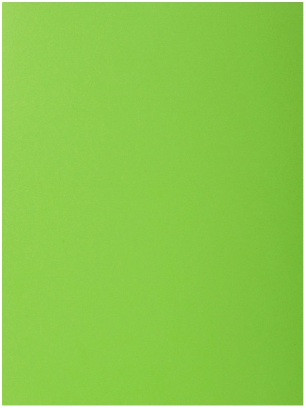 Thumbnail - Exacompta Aktenmappe 218013E DIN A4 Grün Karton 24 x 32 cm 250 Stück