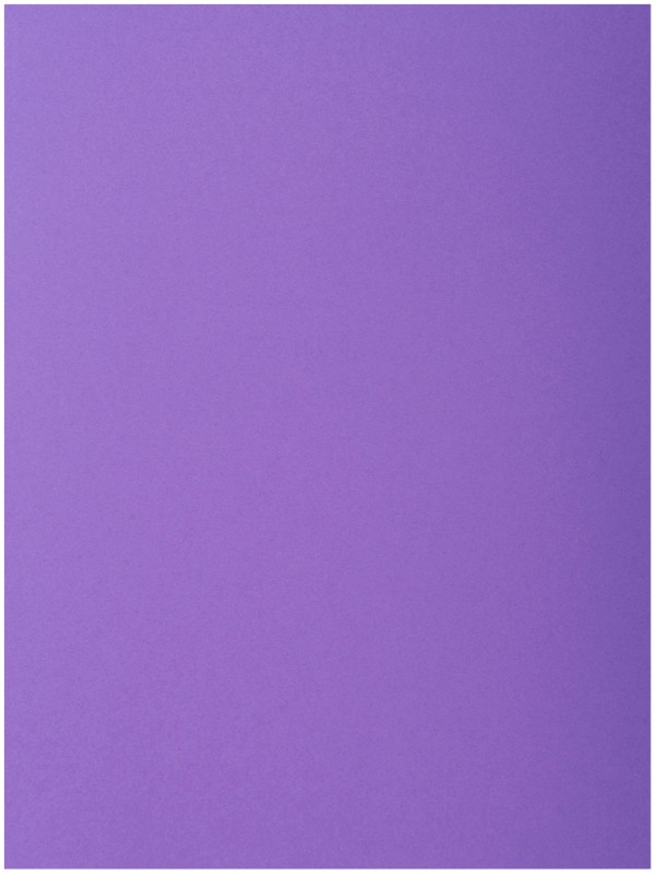 Exacompta Aktenmappe 218008E DIN A4 Lila Karton 24 x 32 cm 250 Stück