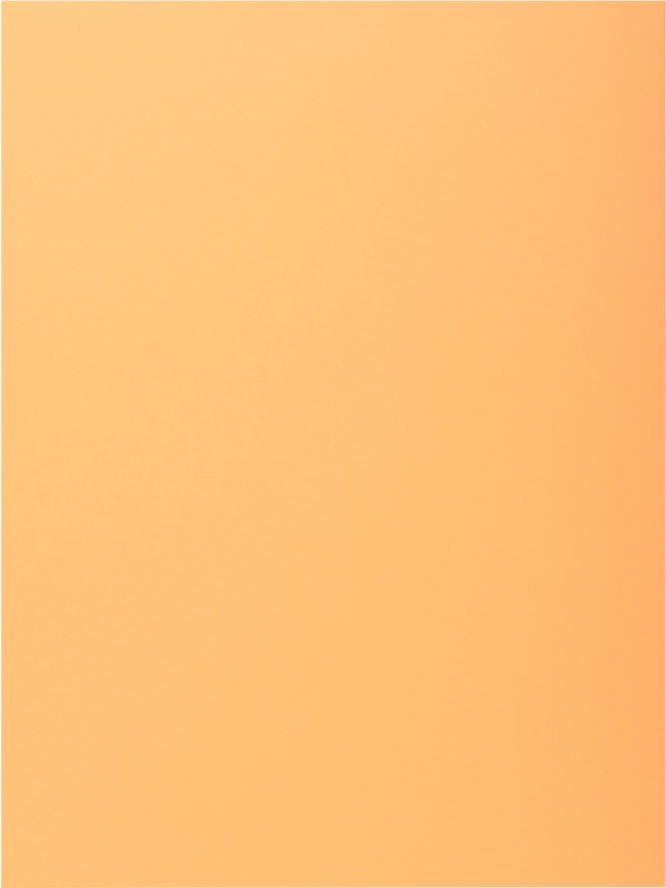 Thumbnail - Exacompta Aktenmappe 339002E DIN A4 Hellorange Karton 24 x 32 cm 250 Stück