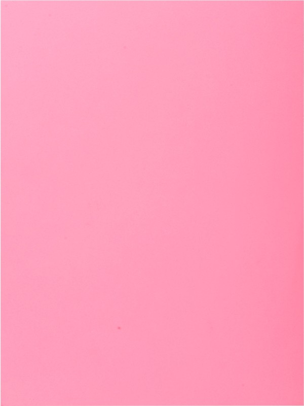 Exacompta Aktenmappe 339003E DIN A4 Rosa Karton 24 x 32 cm 250 Stück