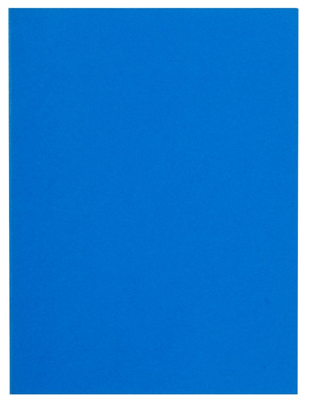 Exacompta Flash Aktendeckel DIN A4 Blau Manila 80 g/m² 1000 Stück