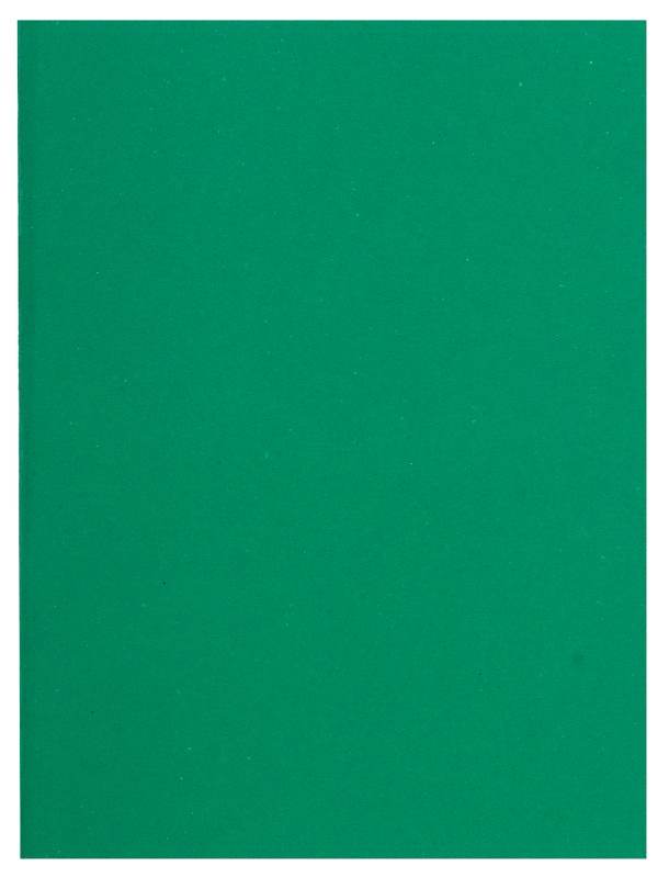 Thumbnail - Exacompta Flash Aktendeckel A4 Grün Manila 80 g/m² 1000 Stück