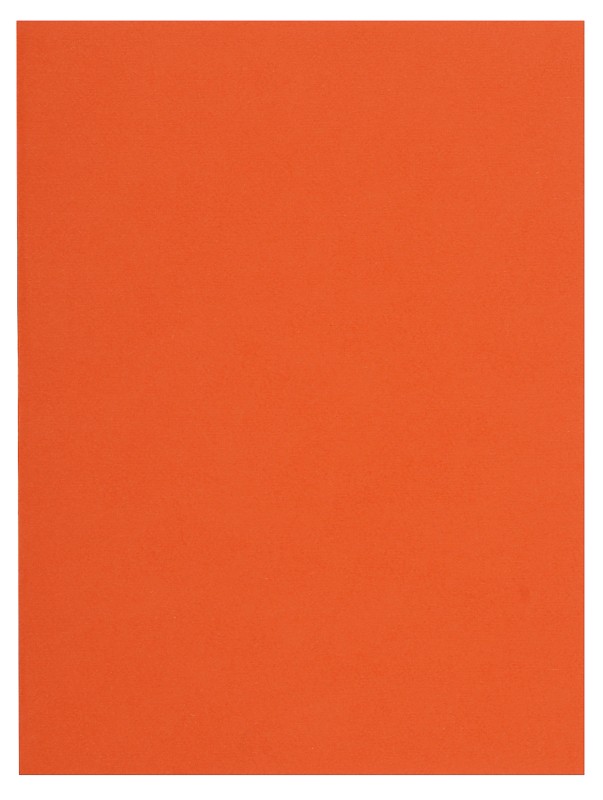 Exacompta Flash Aktendeckel DIN A4 Orange Manila 80 g/m² 1000 Stück