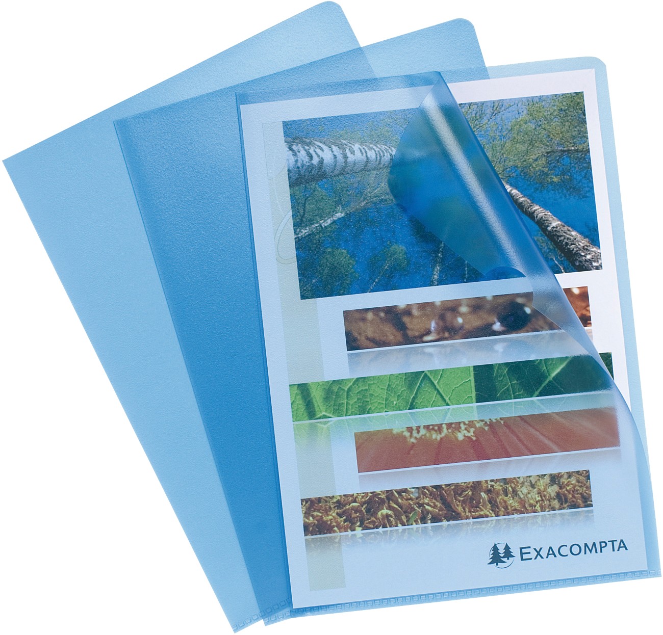 Exacompta Cut Flush Folder 56112E Blue Polypropylene 120 Microns Pack Of 100