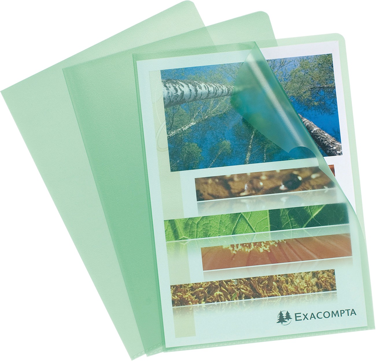 Exacompta Cut Flush Folder Green Polypropylene 120 Microns Pack Of 100