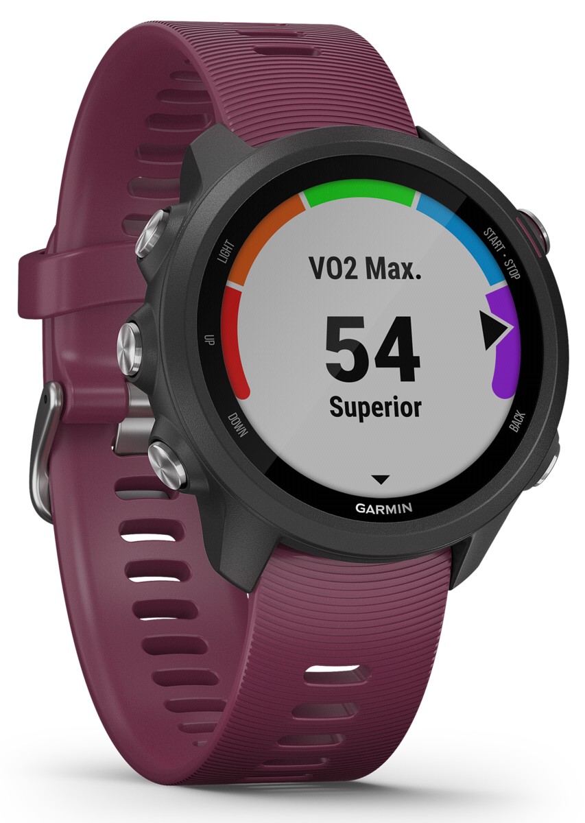 Garmin Sportuhr Forerunner 245 Schwarz, Rot