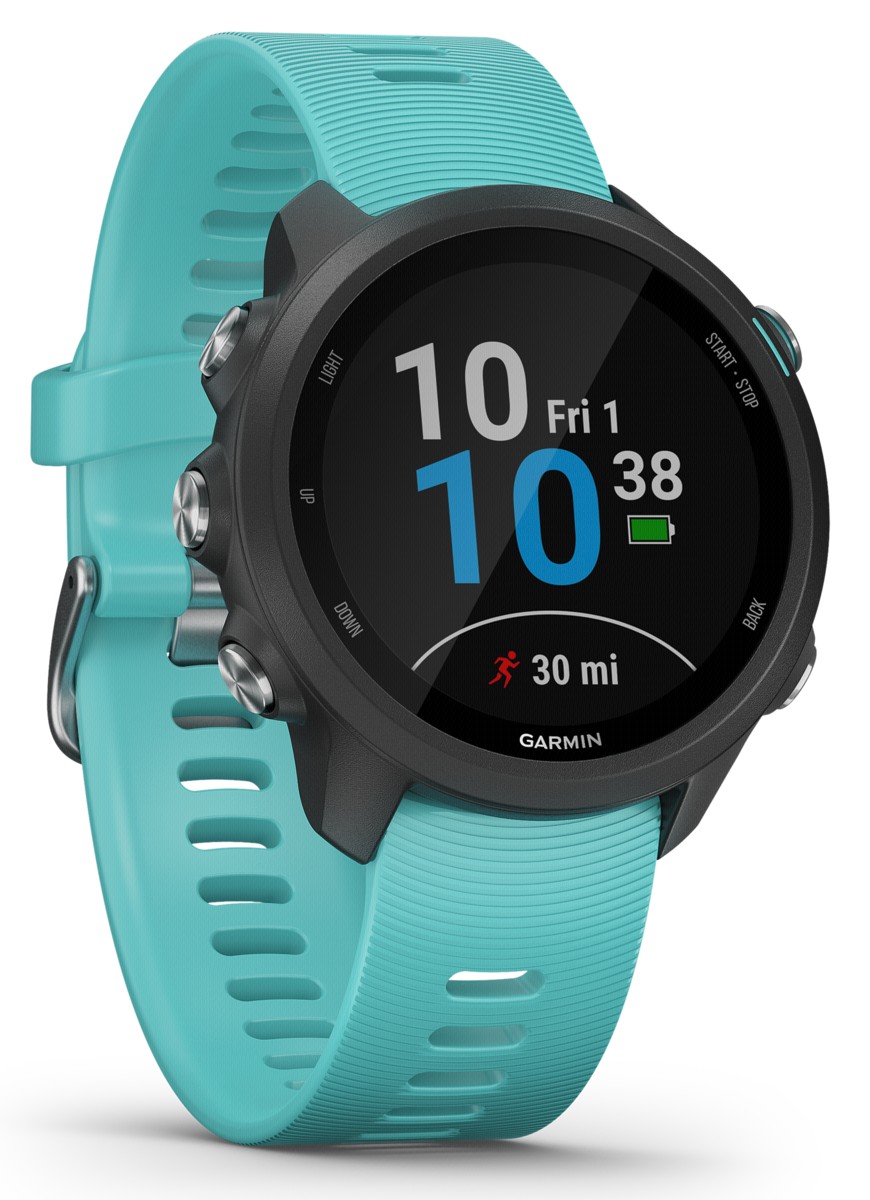 Garmin Sportuhr Forerunner 245 Music Blau