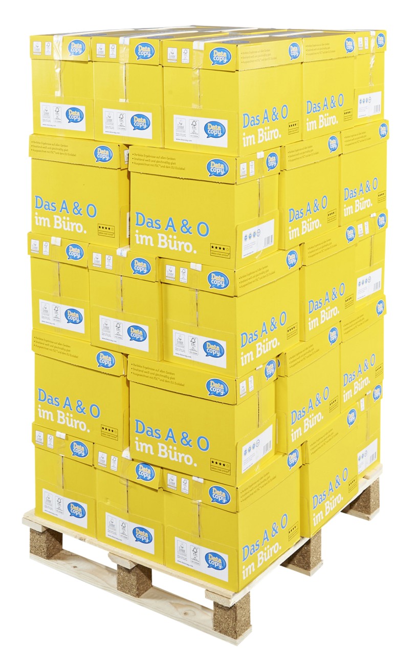 Data Copy Everyday DIN A4 Druckerpapier Weiß 80 g/m² Matt 48 Boxen à 2500 Blatt