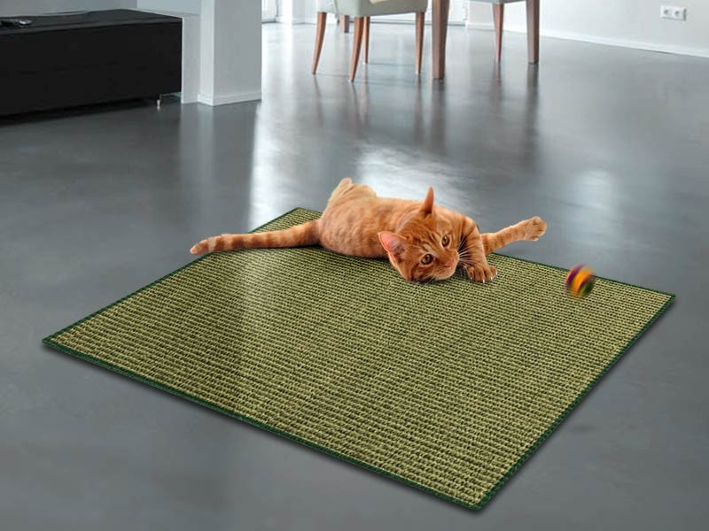 Casa Pura Katzen-Kratzteppich Sisal Grün 1000 x 1000 mm