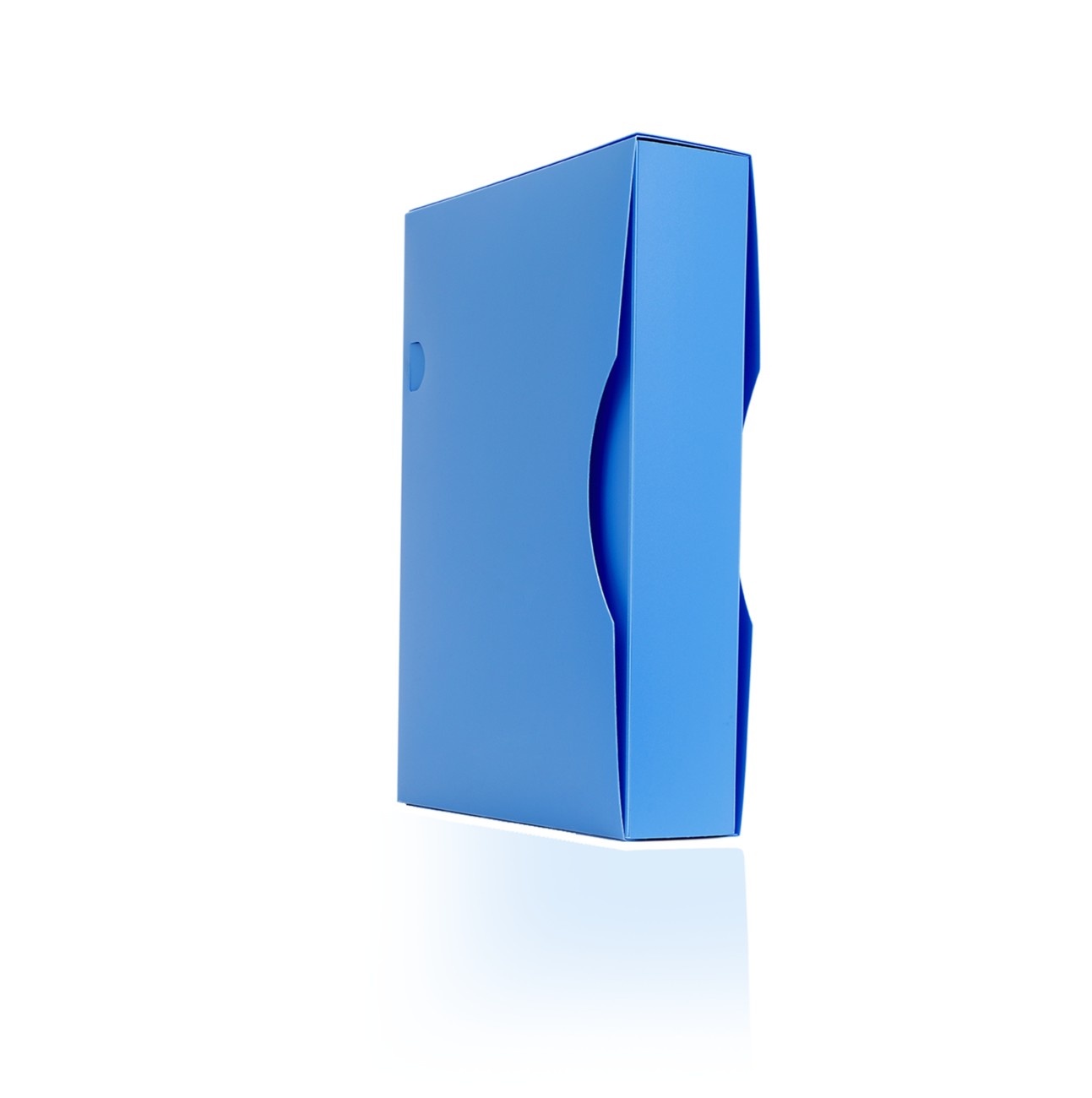 Arpan Blue Display Book A4 150 Pockets