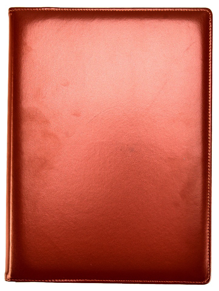 Arpan Brown Display Book A4 Pockets Size 48