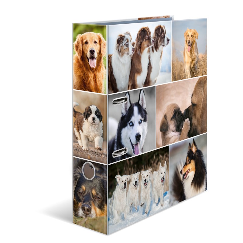 Thumbnail - HERMA Motif Ordner Breit DIN A4 70 mm Farbig sortiert 2 Ringe 7165 Pappkarton Glatt Hochformat 10 Stück