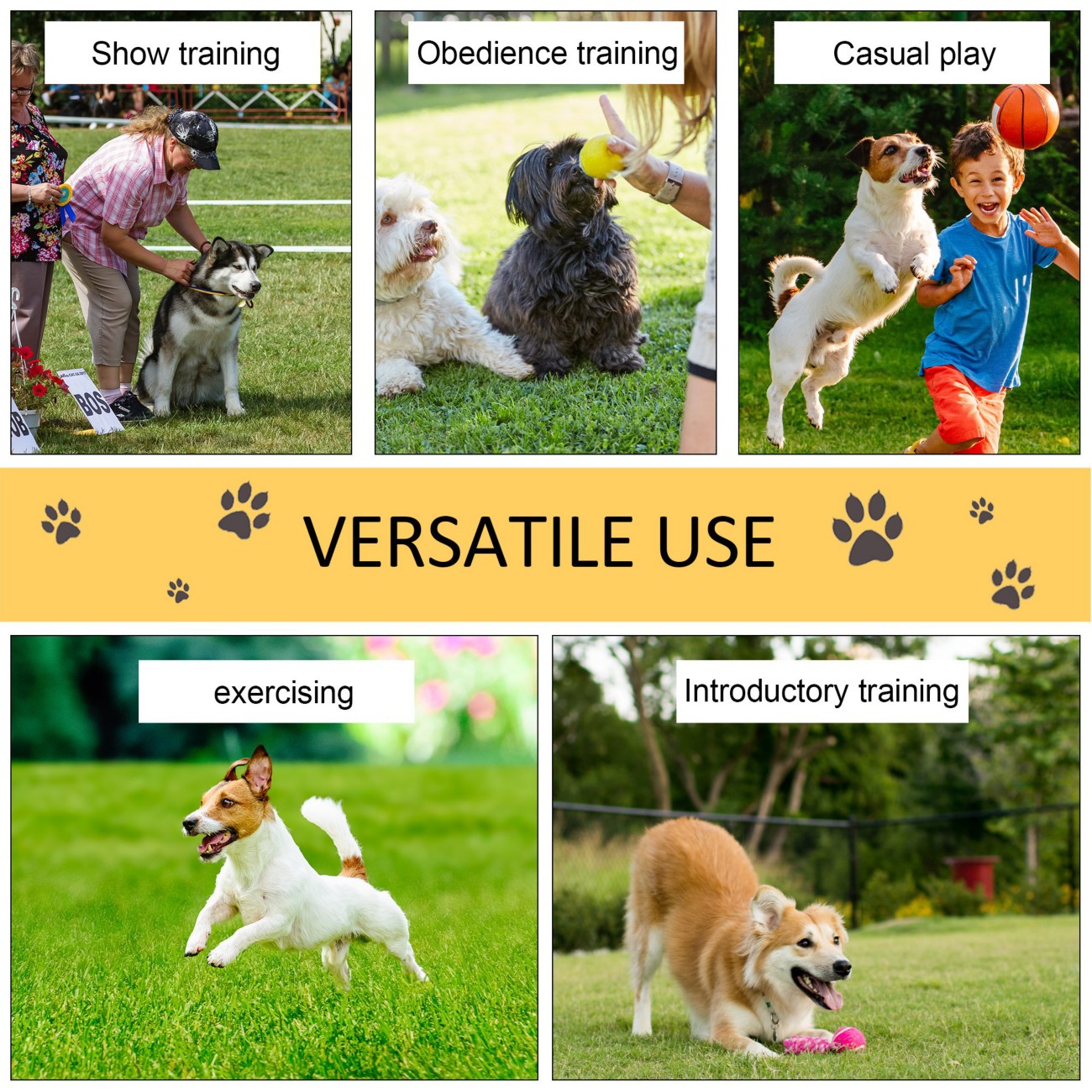 Pawhut Pet Agility Set Training Dogs Outdoor Outward Play Adjustable Pole - Image 10