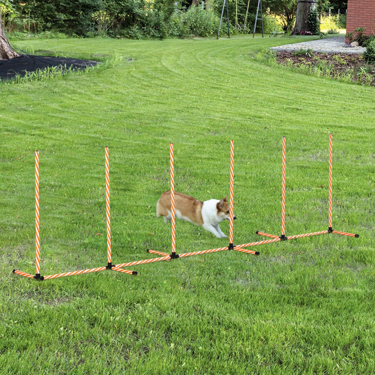 Pawhut Pet Agility Training Equipment Orange, White
