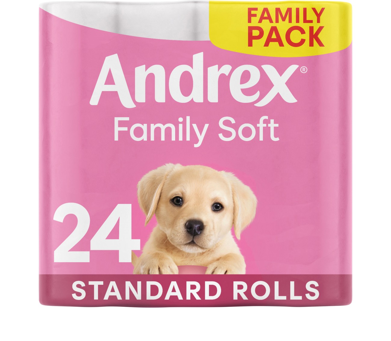 Andrex Unisex White 'Toilet Rolls' Gentle Clean, 48 Rolls In - Image 12