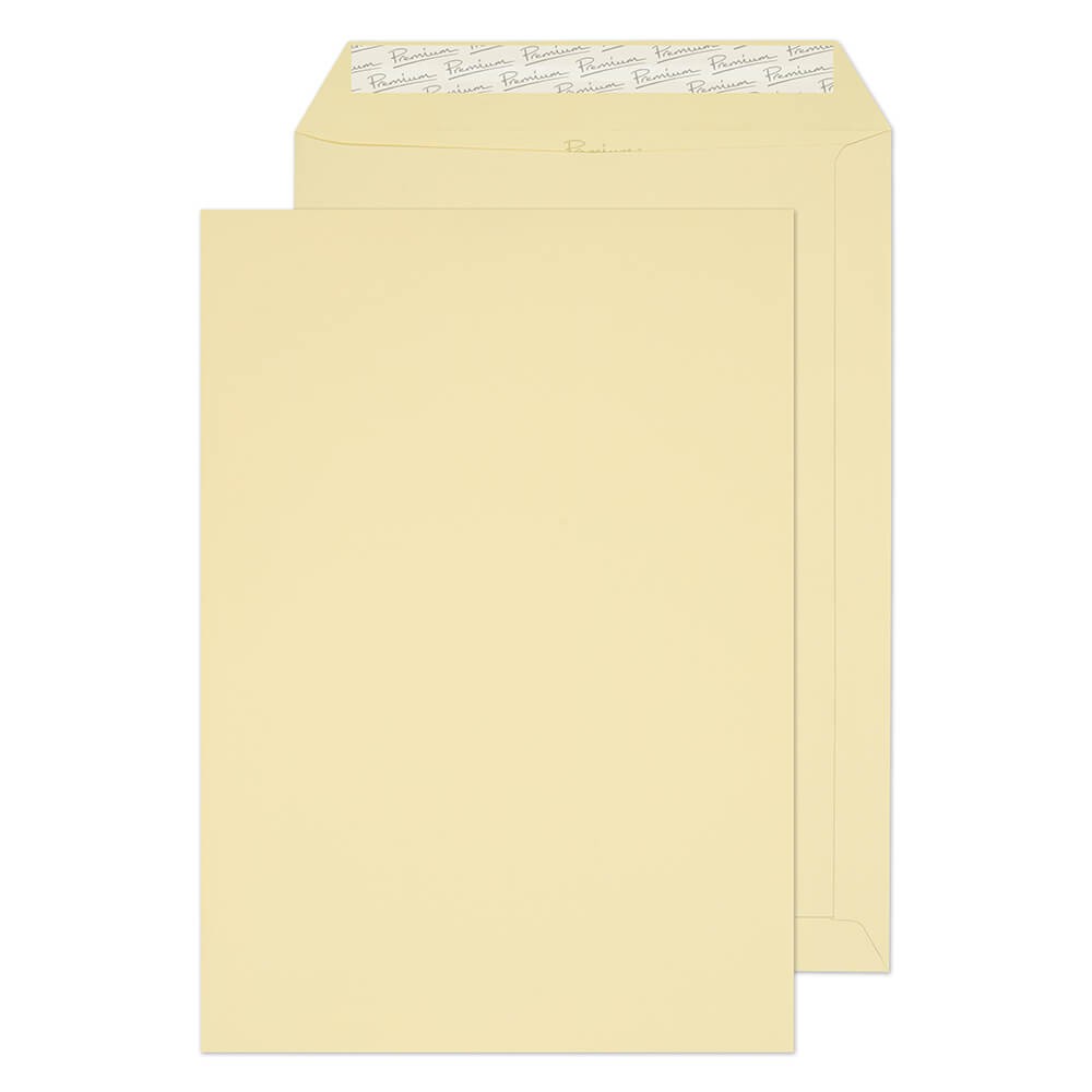 Premium Business C4 Envelopes White 229 (W) X 324 (H) Mm Window 120 Gsm Pack Of 20
