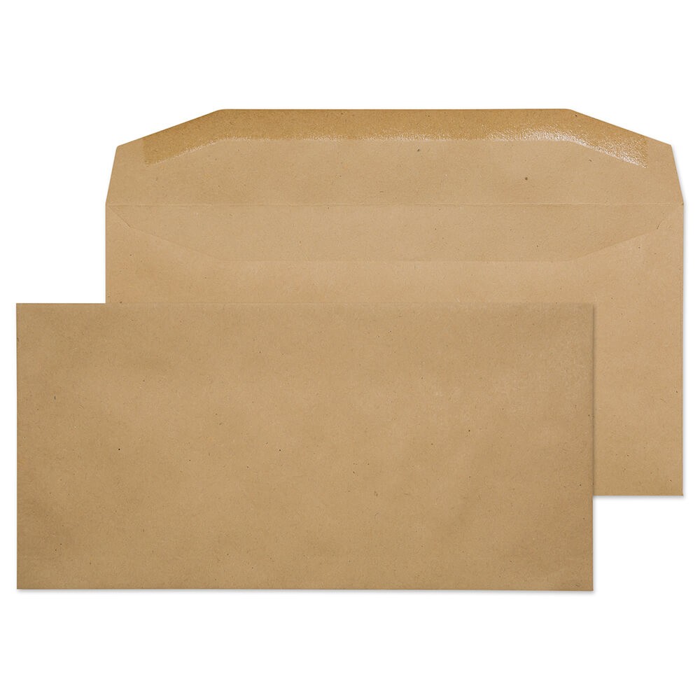 Blake Purely Everyday Mailing Bag Dl Gummed 110 X 220 Mm Plain 80 Gsm Manilla Pack Of 1000