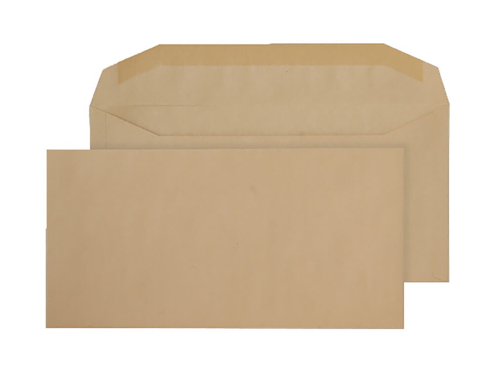 Blake Purely Everyday Mailing Bag Dl++ Gummed 114 X 235 Mm Plain 80 Gsm Manilla Pack Of 1000
