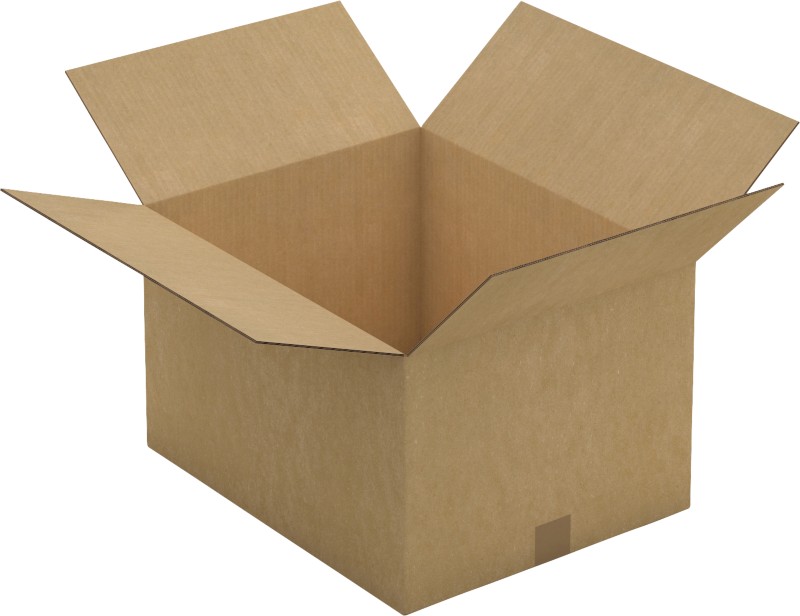RAJA Versandkarton 2-wellig Pappe 284 (B) x 120 (T) x 584 (H) mm Braun 10 Stück