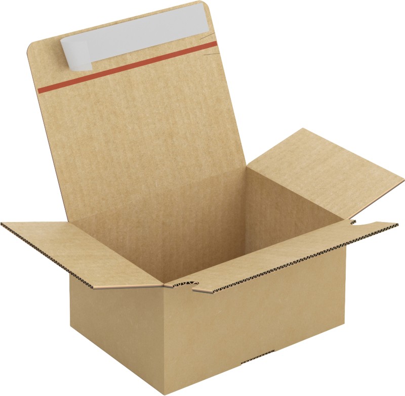 RAJA Versandkarton 1-wellig Pappe 155 (B) x 110 (T) x 210 (H) mm Braun 20 Stück