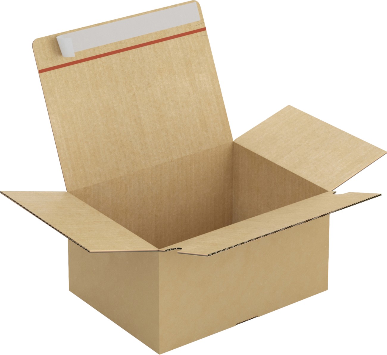 RAJA Versandkarton 1-wellig Pappe 230 (B) x 160 (T) x 310 (H) mm Braun 20 Stück