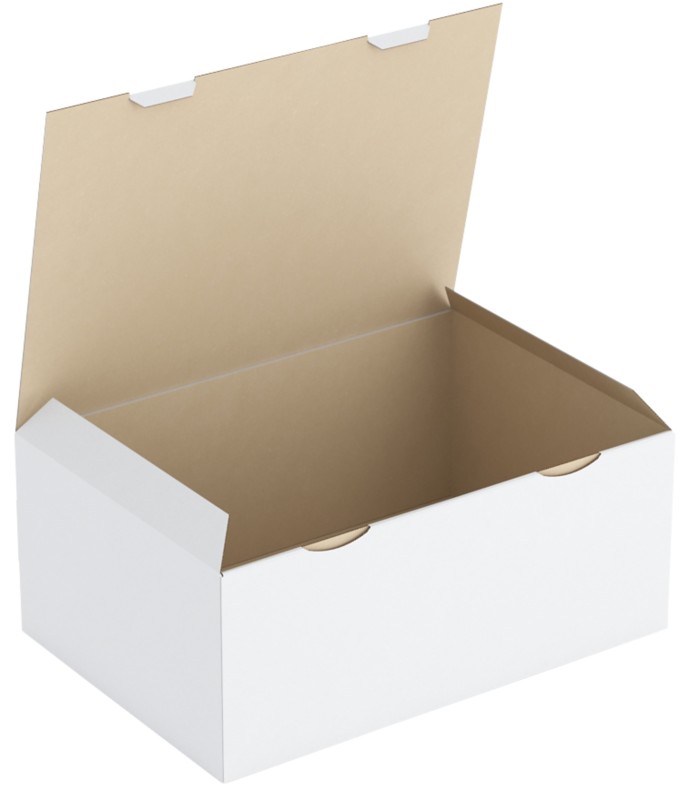 RAJA Versandkarton 1-wellig Pappe 300 (B) x 180 (T) x 430 (H) mm Weiß 50 Stück