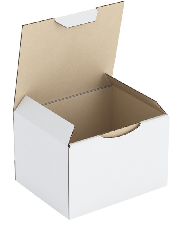 RAJA Versandkarton 1-wellig Pappe 100 (B) x 80 (T) x 120 (H) mm Weiß 50 Stück