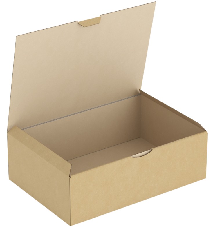 RAJA Versandkarton 1-wellig Pappe 215 (B) x 100 (T) x 310 (H) mm Braun 50 Stück