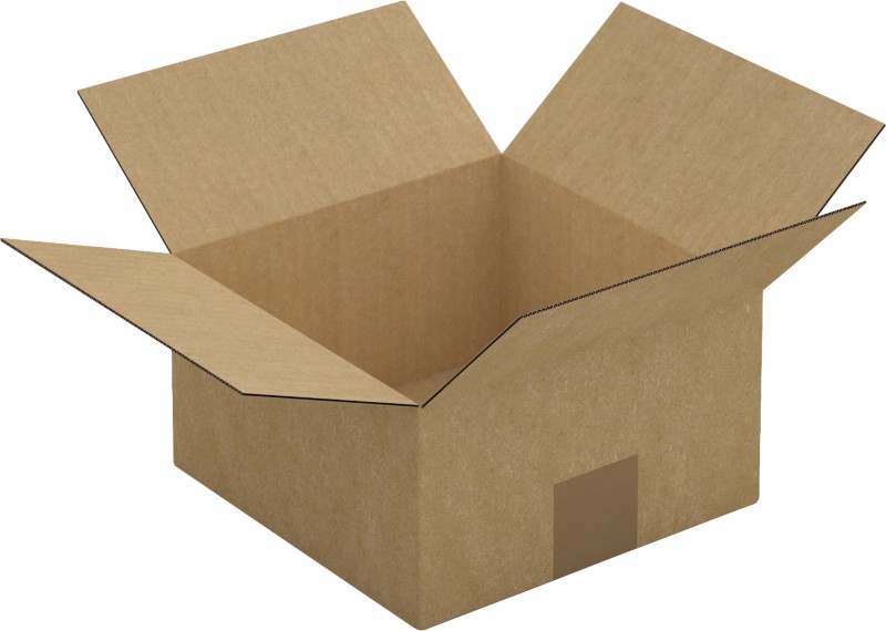 RAJA Versandkarton 1-wellig Pappe 200 (B) x 110 (T) x 200 (H) mm Braun 25 Stück