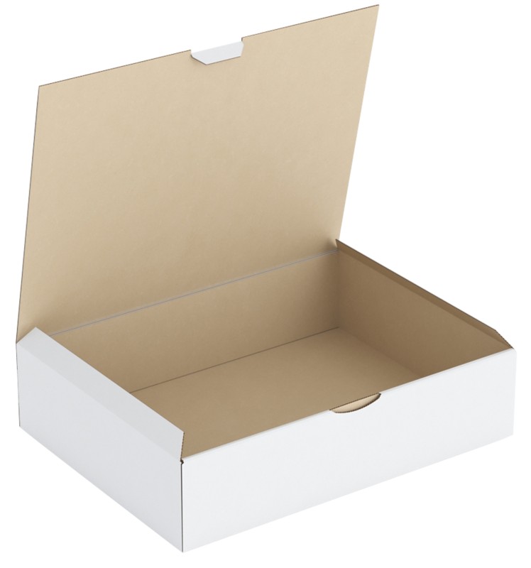 RAJA Versandkarton 1-wellig Pappe 250 (B) x 80 (T) x 330 (H) mm Weiß 50 Stück