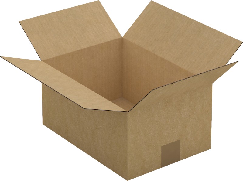RAJA Versandkarton 1-wellig Pappe 220 (B) x 150 (T) x 310 (H) mm Braun 25 Stück