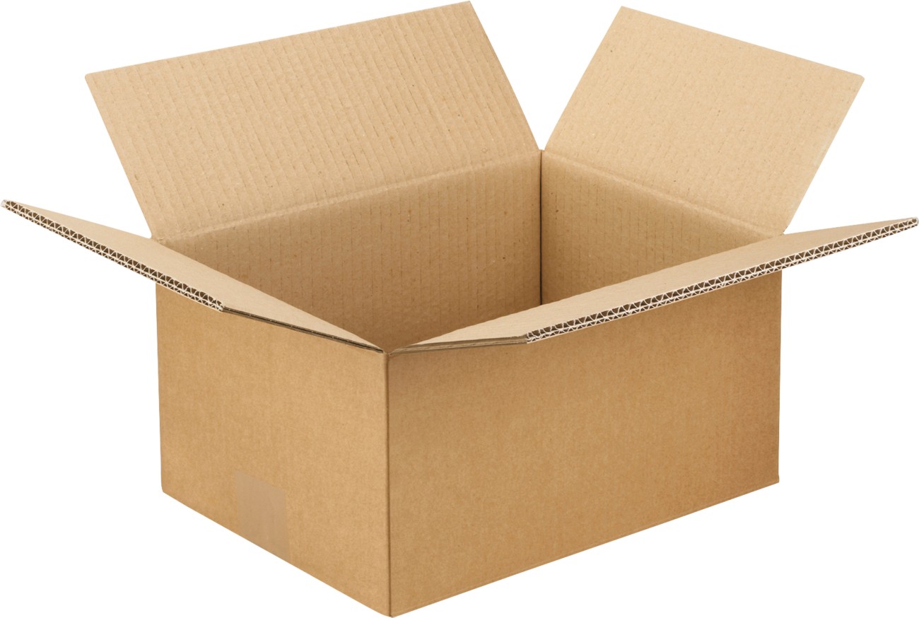 RAJA Versandkarton 2-wellig Pappe 220 (B) x 150 (T) x 310 (H) mm Braun 15 Stück