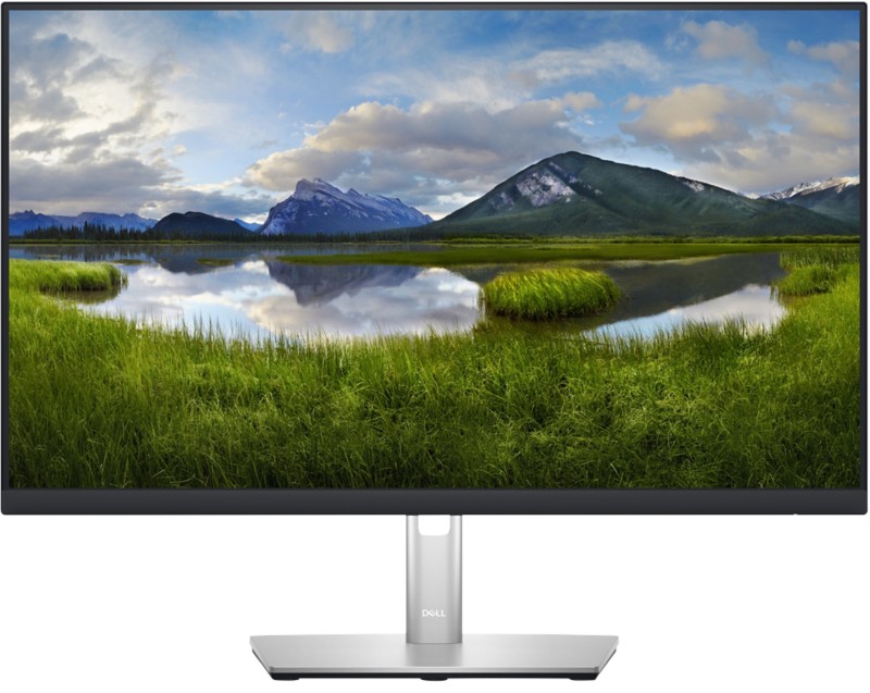 Dell LED-Monitor P2423D