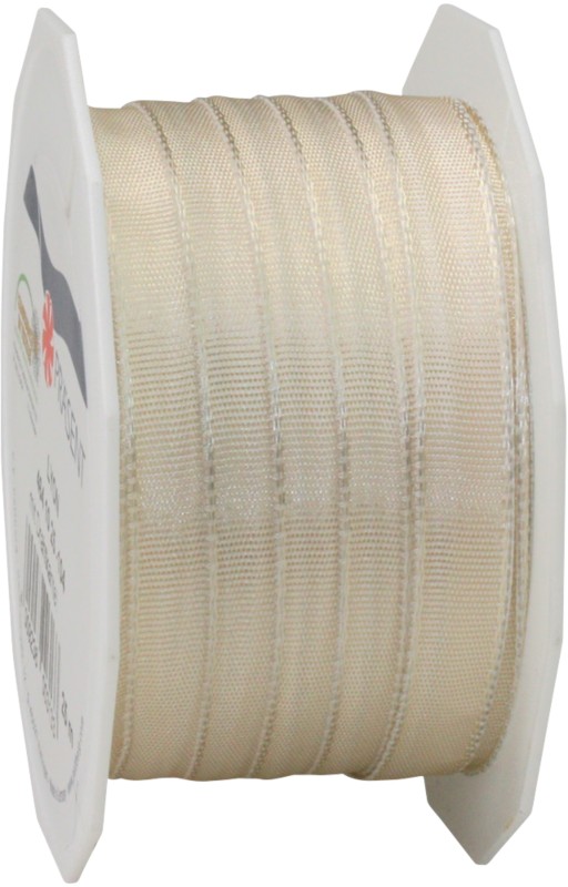 PRAESENT Seidenband 4641025-104 Champagner 10 mm x 25 m 2 Stück