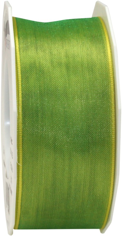 Thumbnail - PRAESENT Organza 6074025-507 Limette 40 mm x 25 m 2 Stück