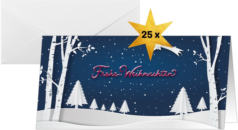 Sigel Winter Weihnachtskarte 21,1 x 22,1 cm Blau, Weiß 25 Stück