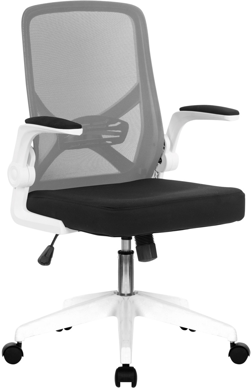 Nautilus Designs Oyster Folding Mesh Chair with Upholstered Folding - Image 3