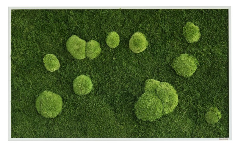 Best of GREEN Moos-Wand 100 x 60 cm schwarzer Rahmen