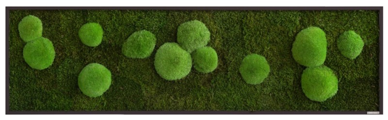 best of GREEN Moos-Wand boGsGMbWKm140x40HoSw Grün