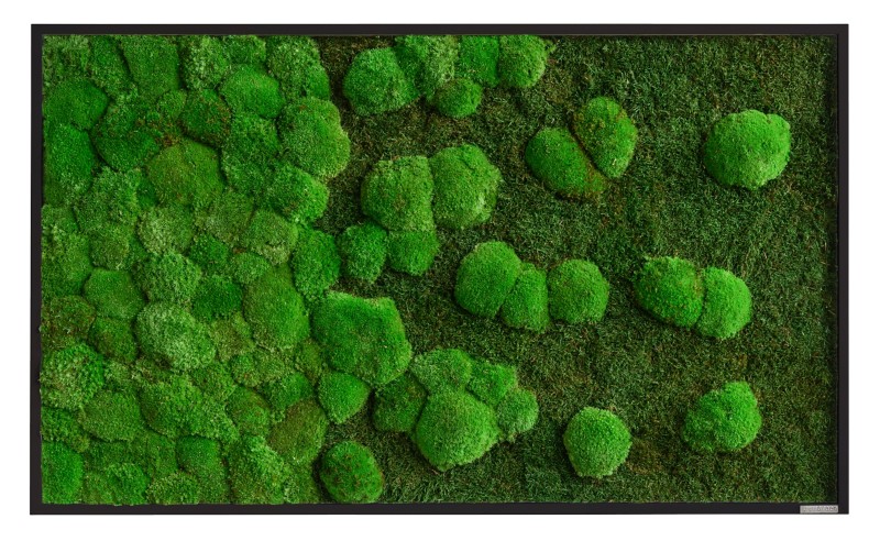 best of GREEN Moos-Wand boGsGMbWKmVL100x60SW Grün
