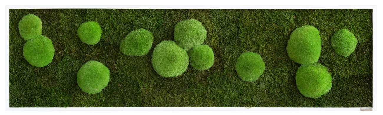 best of GREEN Mossbild 140 x 4 x 40 cm