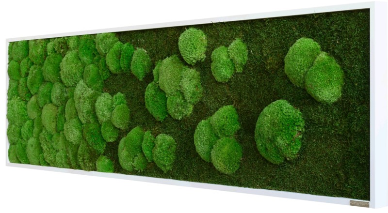 best of GREEN Moosbild 140 x 4 x 40 cm