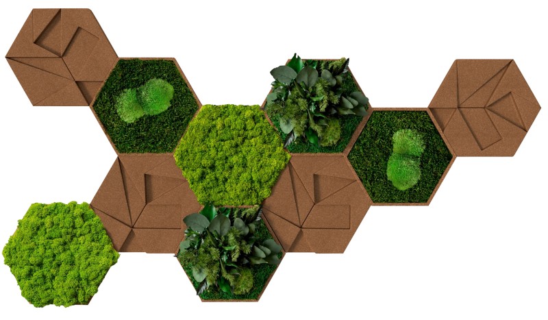 Best of GREEN Kork-Hexagon Set mit 10 Grün, Braun